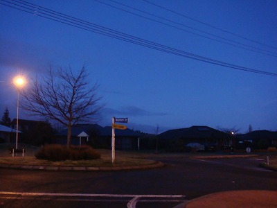 DSC02790.jpg